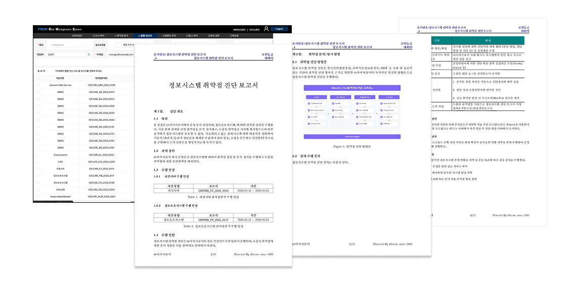 iRMS 통합 보고서